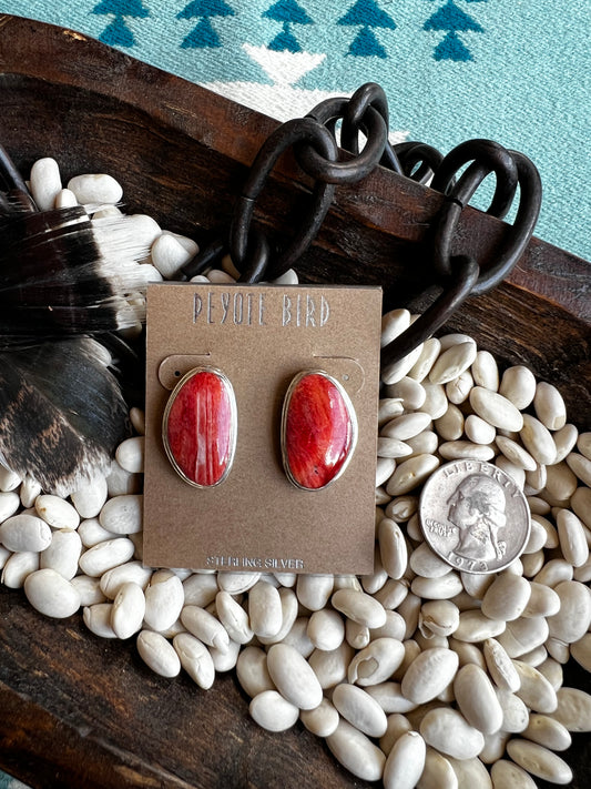 Large Spiny Oyster Stud Earrings